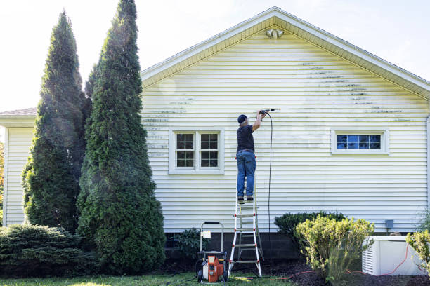 Best Spring Cleaning  in Oglesby, IL